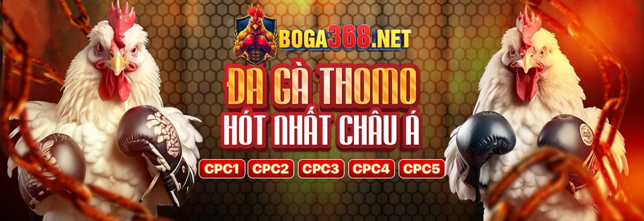 Đá gà trực tuyến tại mm9954 nhà cái